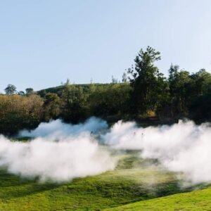 ‘Bamboo Journey’ Tasting Experience (Lunch) & Full Site Admission